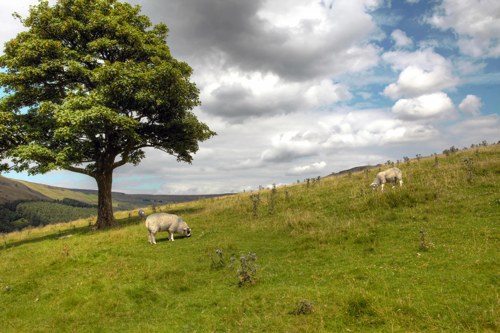 7 Great Reasons to Move to Huddersfield - HD3 Removals Pennines Near Huddersfield